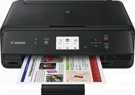 409337 МФУ струйный Canon Pixma TS5040 (1367C007) A4 WiFi USB черный