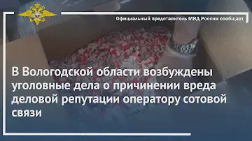 Ирина Волк: Возбуждены уголовные дела о причинении вреда деловой репутации оператору сотовой связи