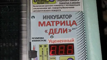 Обзор инкубатора Матрица Дели(Уценённый)